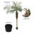 Artificial Potted Phoenix Palm Tree-116360568