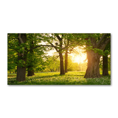 Trees In The Park - Print