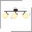 Spotlight-1583052534-1583052533