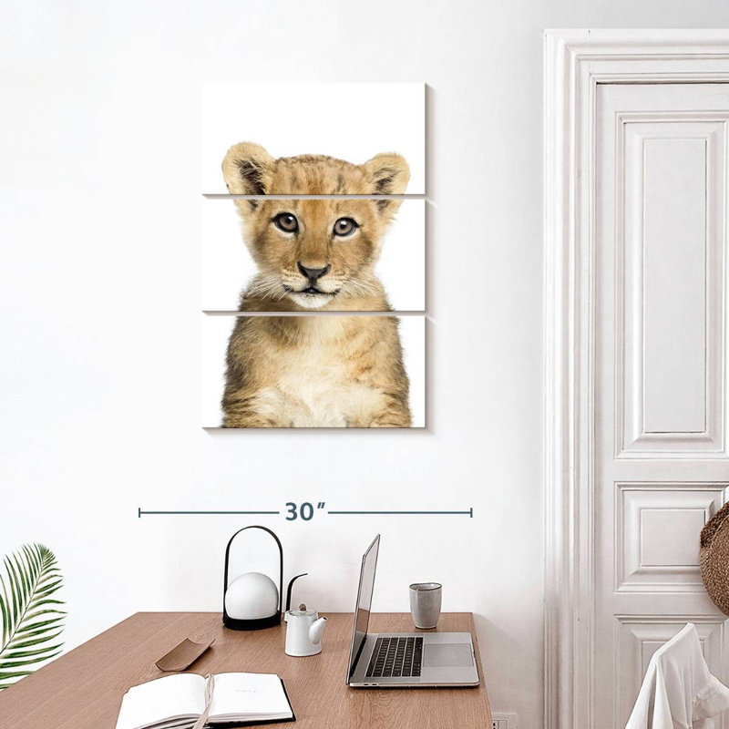 Brampt Adorable Baby Lion