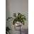 Canella Self-Watering Ceramic Pot Planter