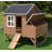 Analisia 12.4 Square Feet Chicken Coop with Roosting Bar for up to 3 Chickens