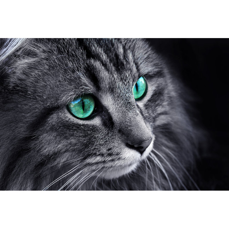 Chat norvégien par Astrid860, H 8 po x l 12 po