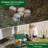 Erona Nesting Boxes