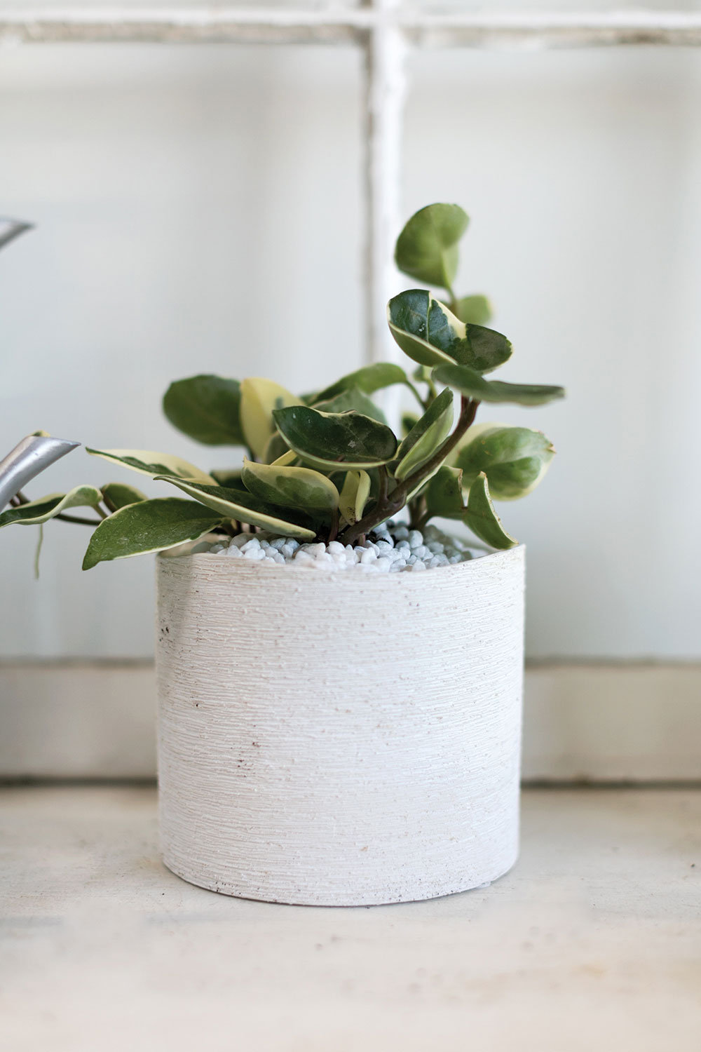Ceramic Pot Planter, 5" H x 5.7" W x 5.7" D