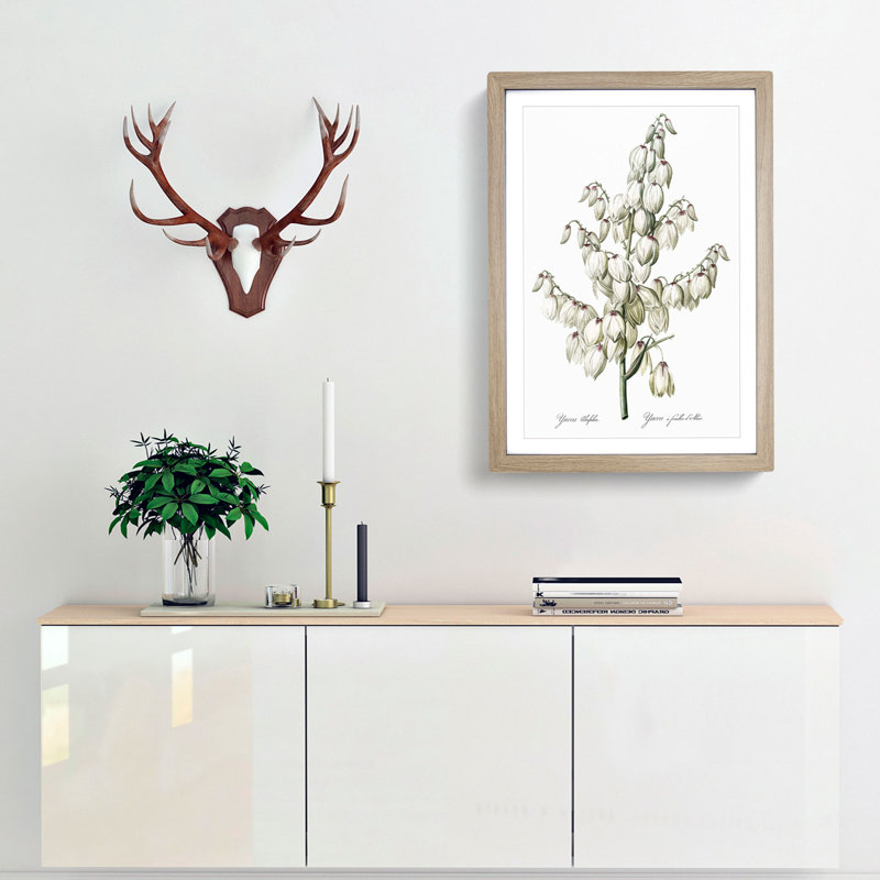 Yucca Flowers by Pierre-Joseph Redoute - Picture Frame Graphic Art Print, 48cm H x 36cm W x 2cm D, Oak Framed