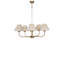 Lustre-556194468-556194522-556194526