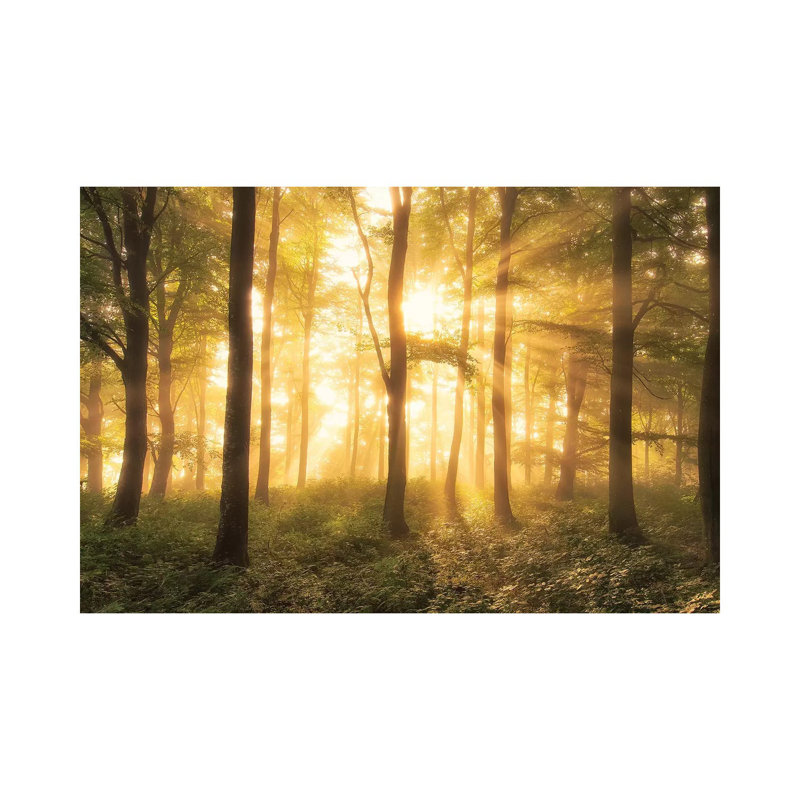It's Nice To Love....... by Leif Londal - Wrapped Canvas Gallery-Wrapped Canvas Giclée, 66.04 cm H x 45.72 cm W x 1.91 cm D