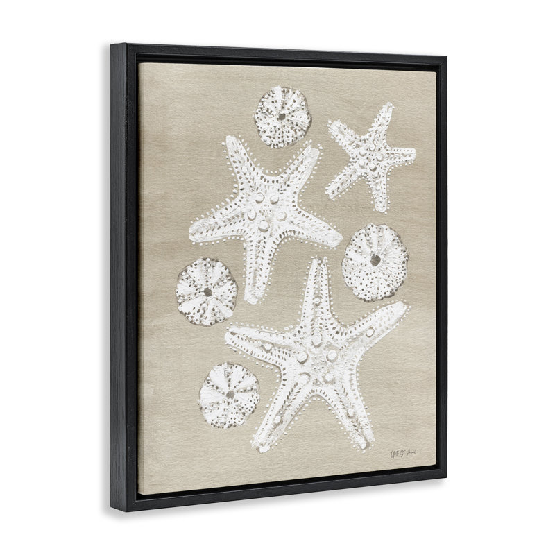 «Sandy Beach Treasures» par Candra Boggs, Cadre flottant noir de jais, H 21 po x l 17 po