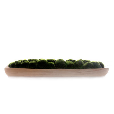 Faux Moss in Wood Long Bowl