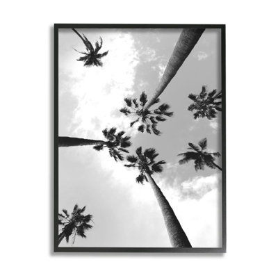 Ciel noir et blanc à travers des palmiers par Ziwei Li - reproduction d'art
