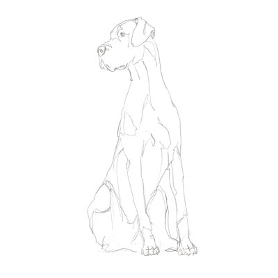 Dog Shape II by Ethan Harper - Wrapped Canvas Drawing