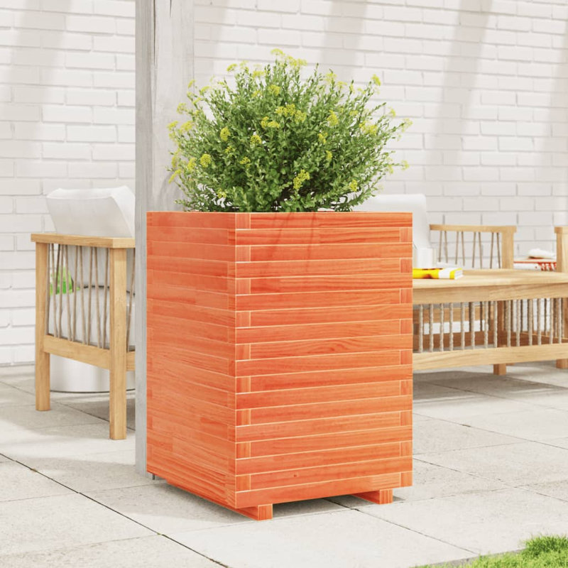 Wood Planter Box, 72cm H x 50cm W x 50cm D, Wax Brown
