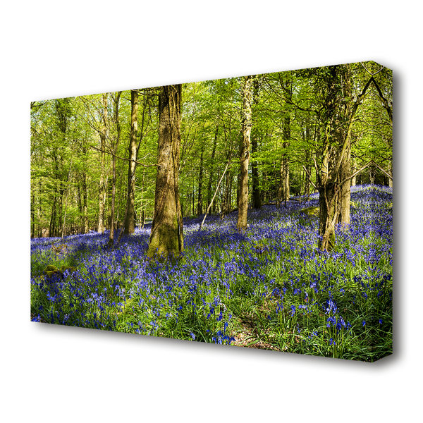 East Urban Home Bluebell Woodland Forest - Wrapped Canvas Print ...