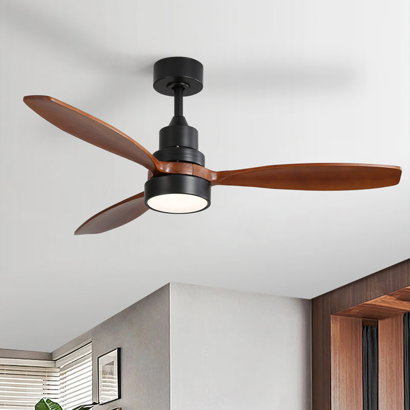 Kemp 52" 3-Solid Wood Blade Propeller Modern Ceiling Fan With LED Lights, Remote, Black with Walnut Blades