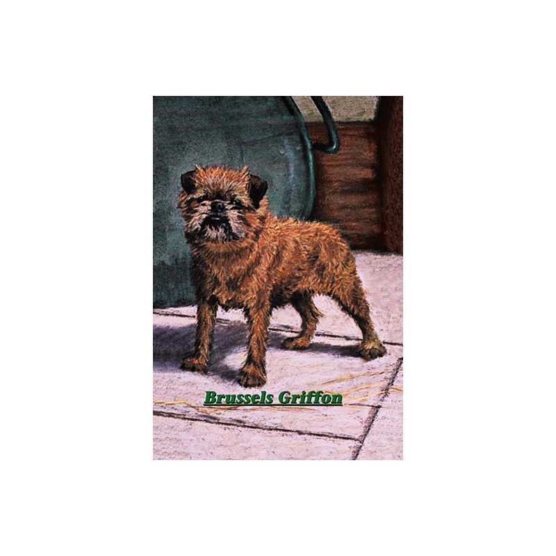 « standard bruxelles griffon bruxellois champion », impression