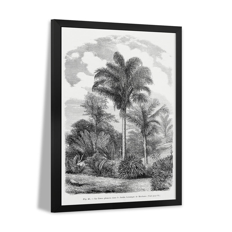 Dessin de palmier rétro Vi - reproduction d'art murale - affiche de galerie, H 32 po x l 24 po