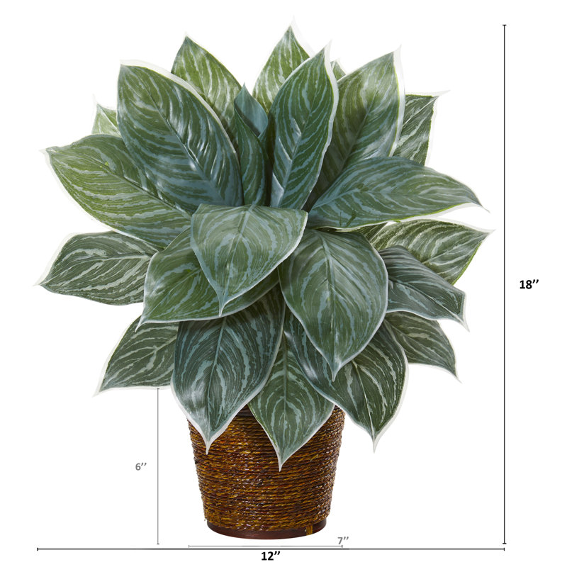 Plante de feuillage artificiel en panier aglaonema