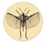 Cotto Wall Clock