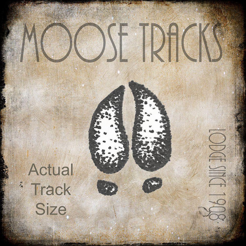 Toile tendue avec châssis Lark Manor ™ LightBoxJournal, Moose Lodge 2, Moose Tracks 2, H 36 po x l 36 po