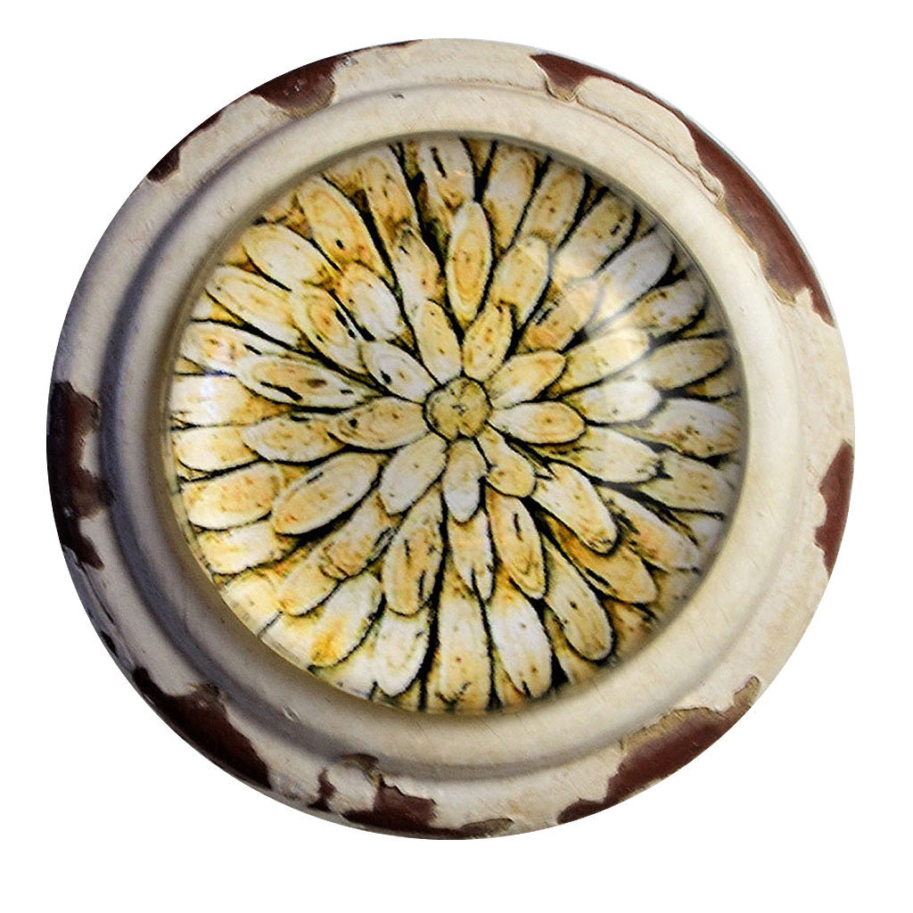 SET OF 4 Handpainted 1 1/2" Diameter Mushroom Knob (Set of 4) Charleston Knob Company