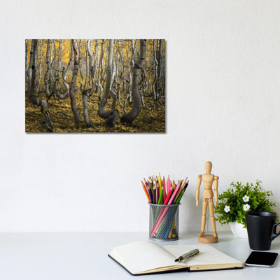 Crooked Aspen by Alex Li - Wrapped Canvas Print
