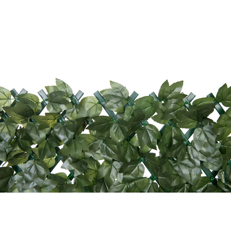 Feuille de lierre verte extensible 36 po x 72 po