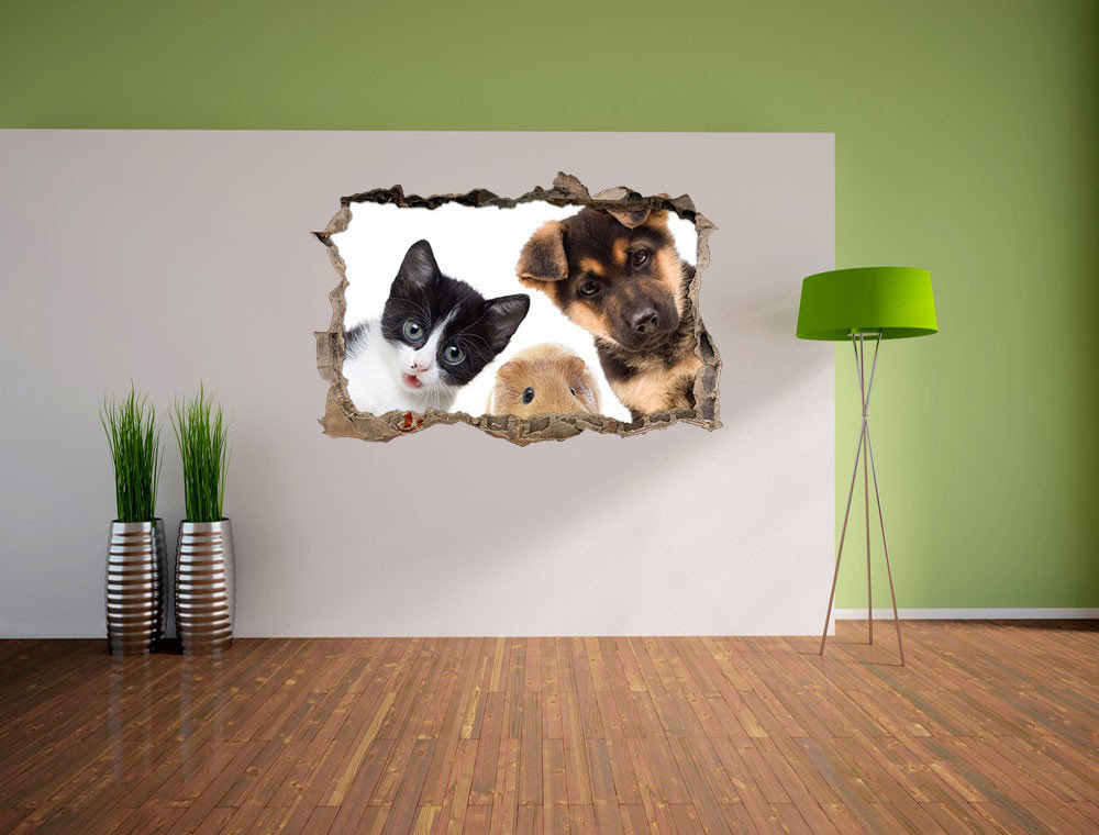 Lustiges Trio aus Hund, Katze und Meerschweinchen Wandsticker