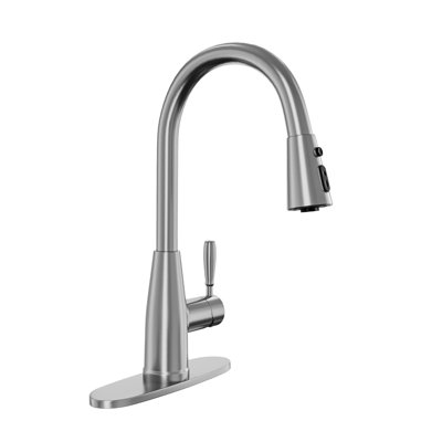 Mondawe Kitchen Faucet