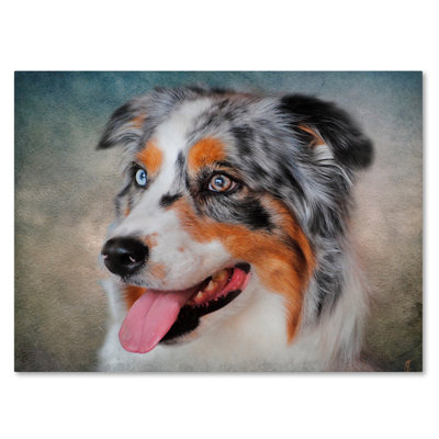 «Blue Merle Australian Shepherd Portrait», impression sur toile tendue Vidur