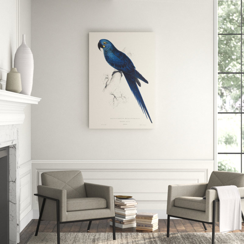 Hyacinthine Parakeet Print by Edward Lear, Glass Coat