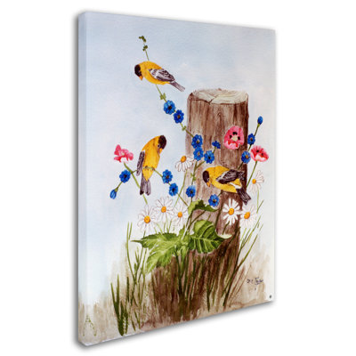 Dugazon «American Goldfinch 3», reproduction sur toile tendue