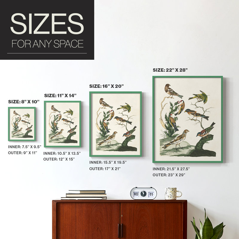 «Antique Birds in Nature I», reproduction encadrée - bois massif, Vert, H 10 po x l 8 po