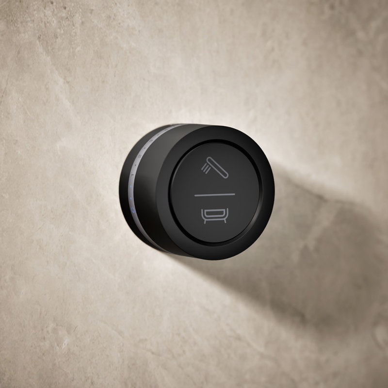 DTV Mode Wall-Mount Bath/Shower Digital Interface, Matte Black