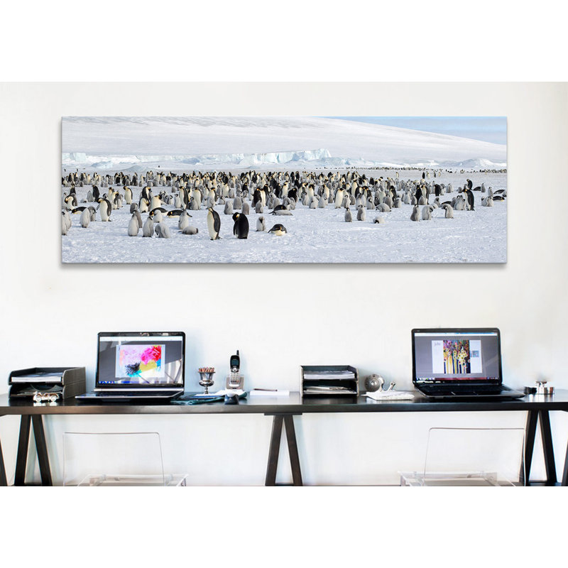«Emperor Penguins at Snow Hill Island, Antarctica», reproduction de photo sur toile, H 12 po x l 36 po x P 1,5 po