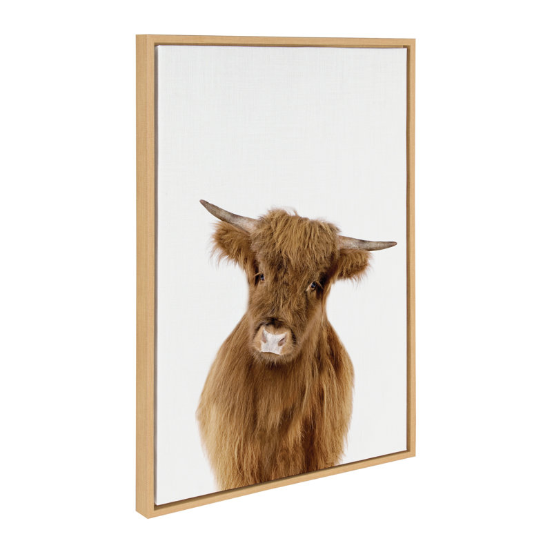 "Animal Studio Highland" par Amy Peterson, reproduction d'art sur toile encadrée, 23 po x 33 po, Encadré naturel