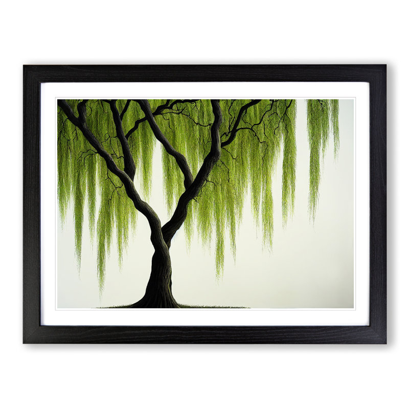 Irresistible Weeping Willow Tree - Single Picture Frame Print, Black, 25cm H x 34cm W x 2cm D