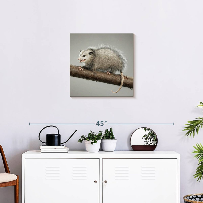 Bramoss Snarky Opossum