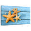 Rustic Starfish-875673261