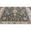 Infinity Oriental Area Rug in Sage Green