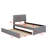 Upholstered Platform Bed With Trundle-541453801
