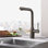 Essence Pull Out Single Handle Kitchen Faucet with Accessories