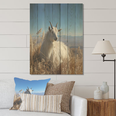 Chèvre blanche solitaire - Chèvre sur bois