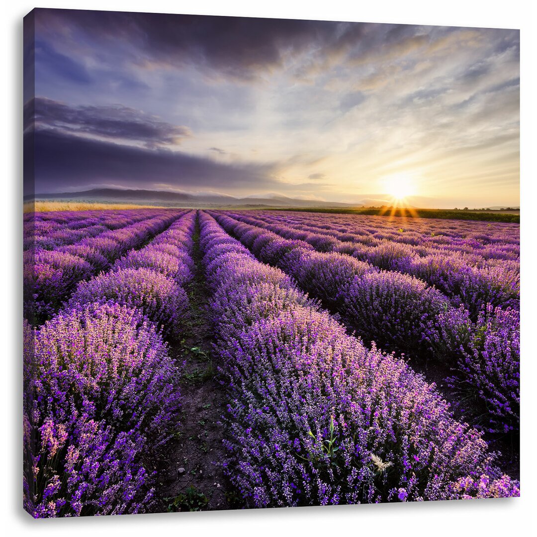 Leinwandbild Traumhafte Lavendel Provence