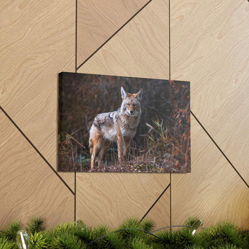 Wall Art on Canvas