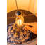 Buschi Ceramic Table Lamp