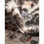 Tapis floral gris / bleu sarcelle / orange Arends-678299753