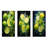 Lemon Luminosity - Fruits Metal Wall Decor Set Of 3-103229194