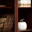 Classic furniture popular bookcase
