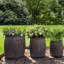 Grands pots à fleurs 20 "Armano